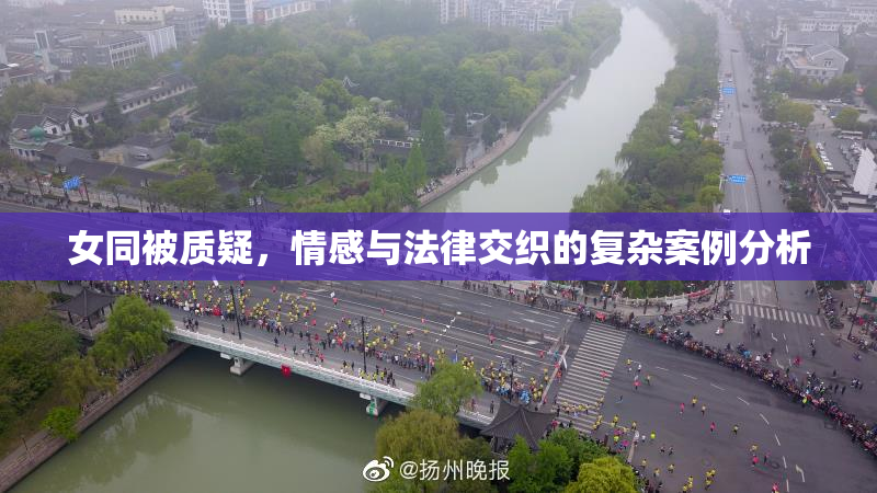 女同被质疑，情感与法律交织的复杂案例分析