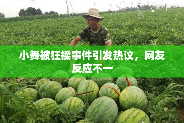 小舞被狂揉事件引发热议，网友反应不一