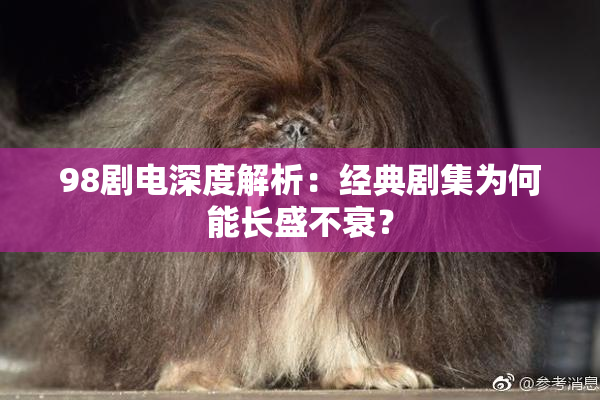 98剧电深度解析：经典剧集为何能长盛不衰？