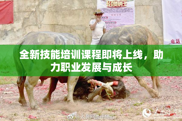 全新技能培训课程即将上线，助力职业发展与成长