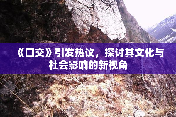《囗交》引发热议，探讨其文化与社会影响的新视角