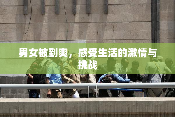 男女被到爽，感受生活的激情与挑战