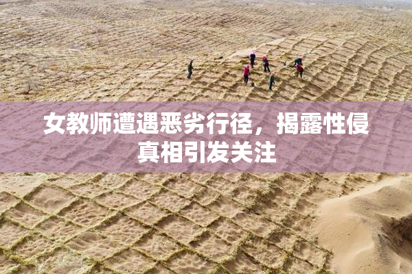 女教师遭遇恶劣行径，揭露性侵真相引发关注