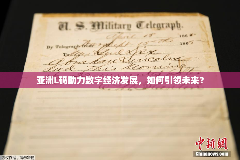 亚洲L码助力数字经济发展，如何引领未来？