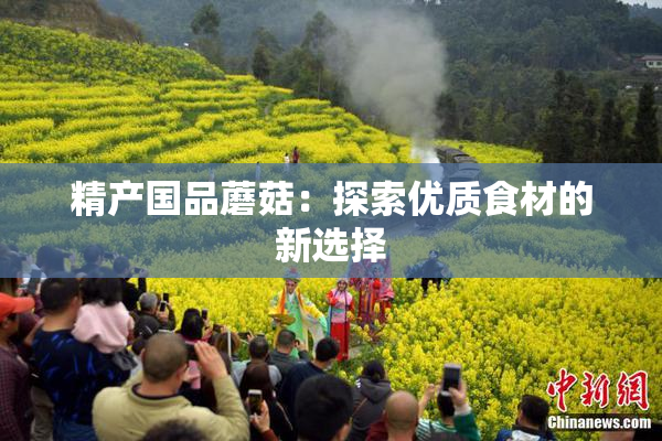 精产国品蘑菇：探索优质食材的新选择