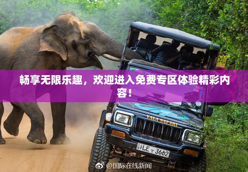 畅享无限乐趣，欢迎进入免费专区体验精彩内容！