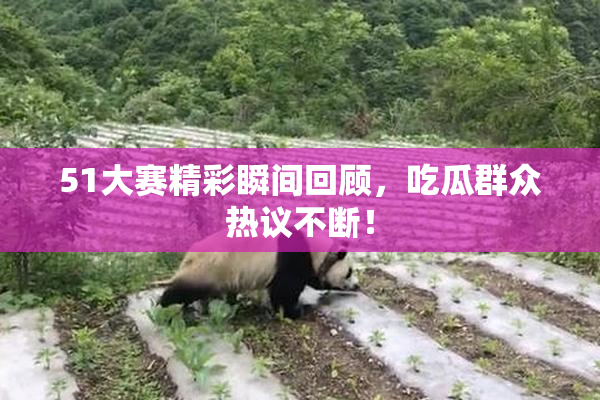 51大赛精彩瞬间回顾，吃瓜群众热议不断！