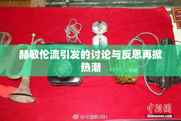 赫敏伦流引发的讨论与反思再掀热潮