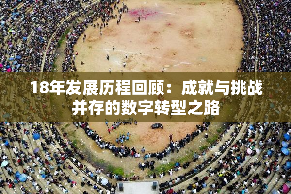 18年发展历程回顾：成就与挑战并存的数字转型之路