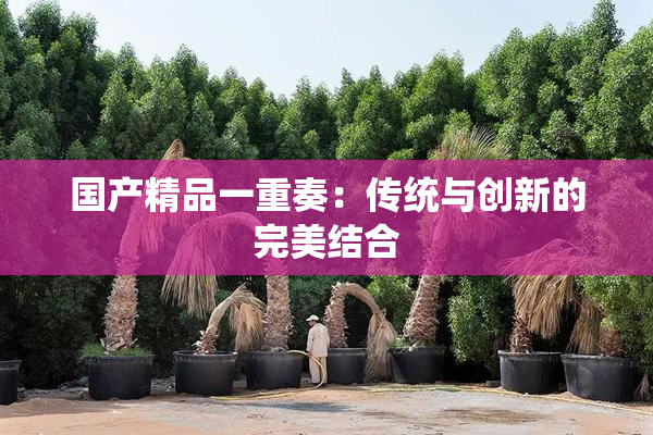 国产精品一重奏：传统与创新的完美结合