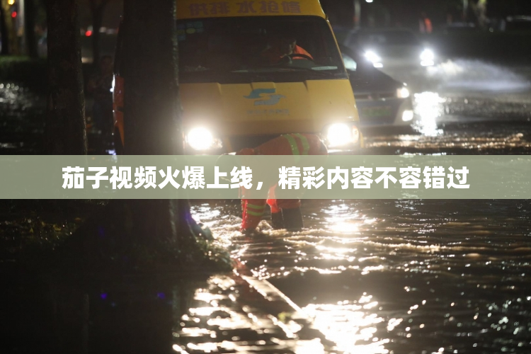 茄子视频火爆上线，精彩内容不容错过