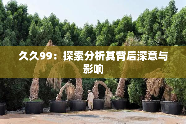 久久99：探索分析其背后深意与影响