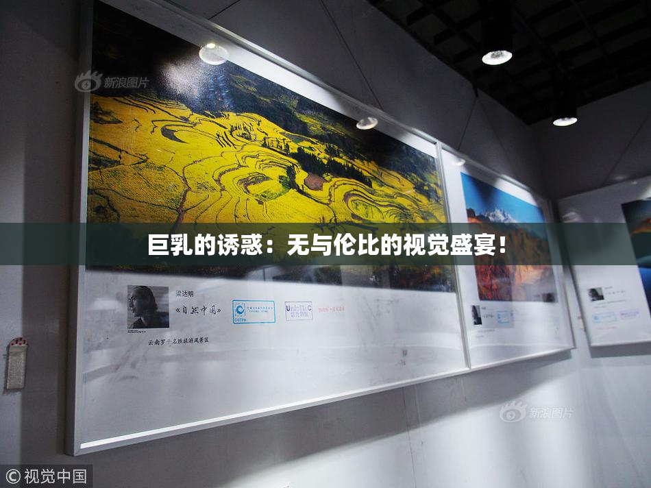 巨乳的诱惑：无与伦比的视觉盛宴！
