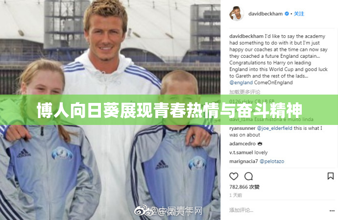 博人向日葵展现青春热情与奋斗精神