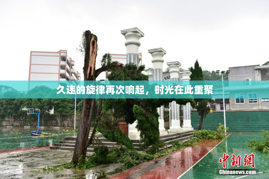 久违的旋律再次响起，时光在此重聚