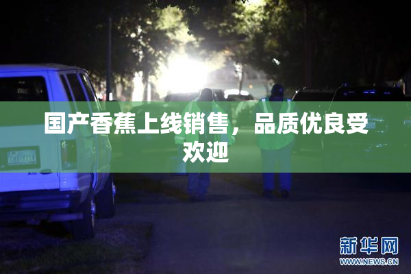 国产香蕉上线销售，品质优良受欢迎