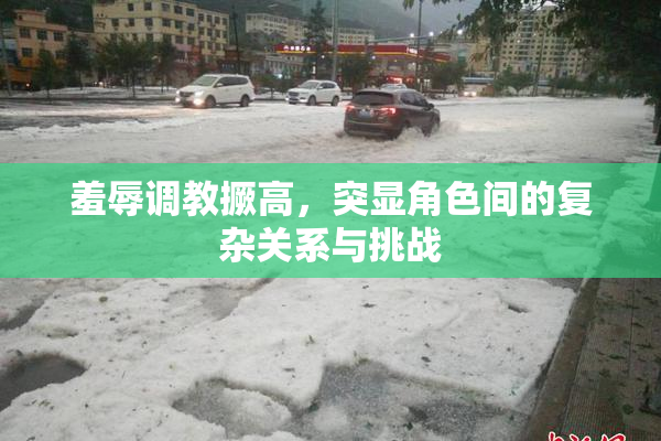 羞辱调教撅高，突显角色间的复杂关系与挑战