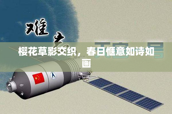 樱花草影交织，春日惬意如诗如画