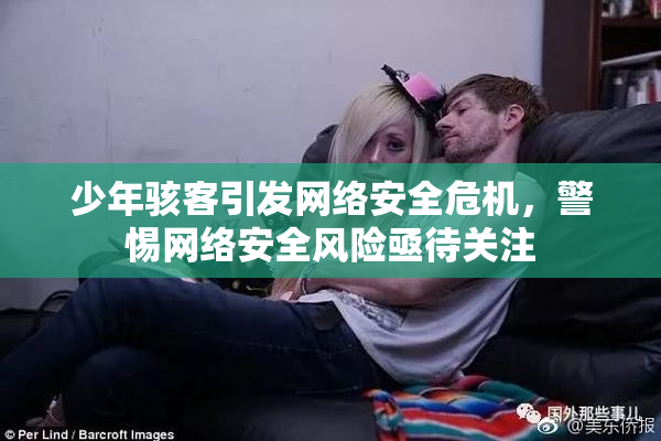 少年骇客引发网络安全危机，警惕网络安全风险亟待关注