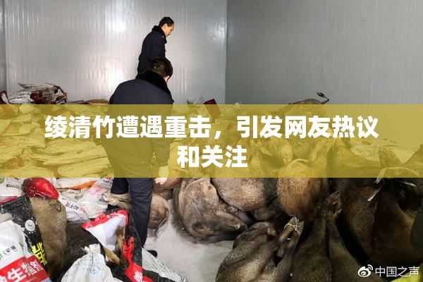 绫清竹遭遇重击，引发网友热议和关注