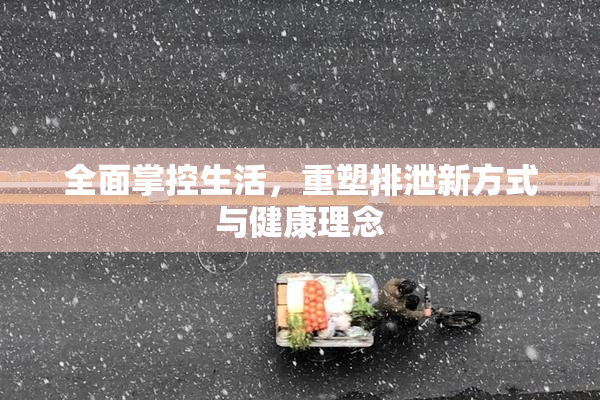 全面掌控生活，重塑排泄新方式与健康理念