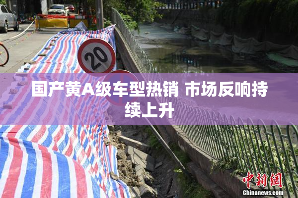 国产黄A级车型热销 市场反响持续上升