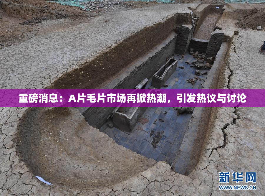 重磅消息：A片毛片市场再掀热潮，引发热议与讨论