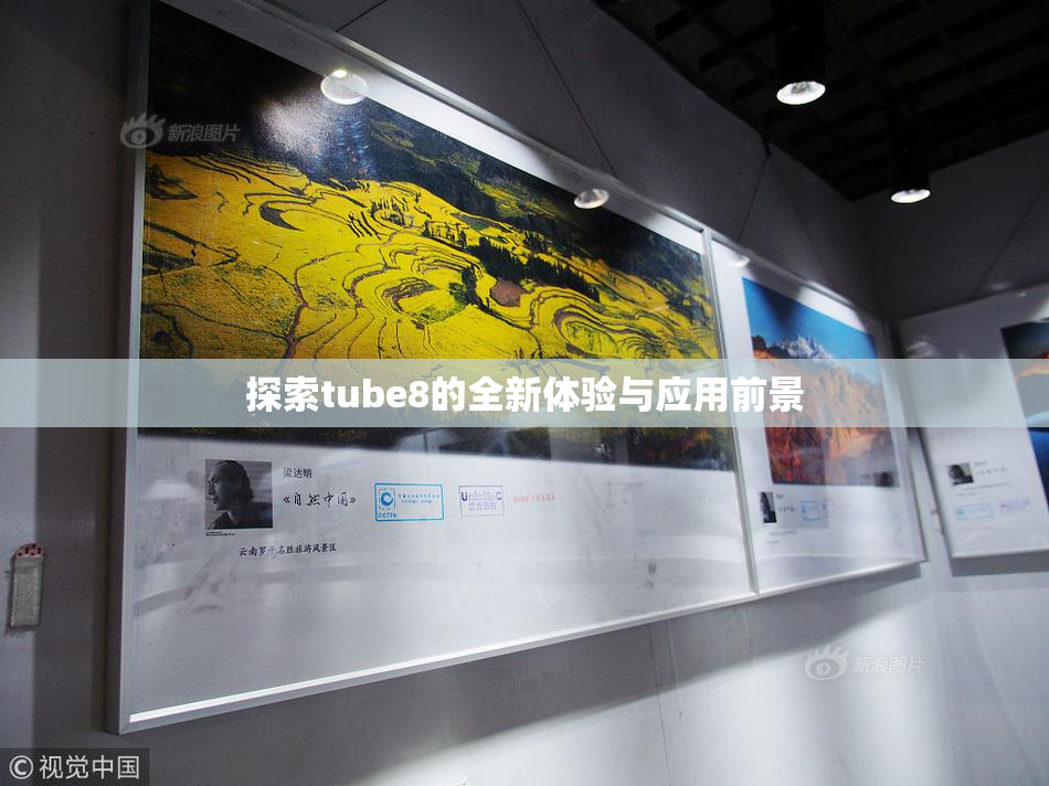 探索tube8的全新体验与应用前景