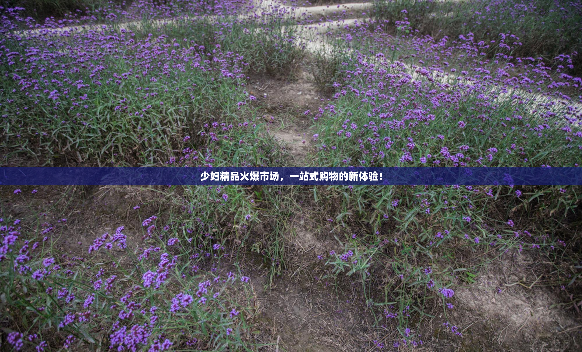 少妇精品火爆市场，一站式购物的新体验！