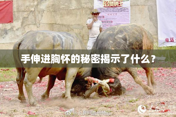 手伸进胸怀的秘密揭示了什么？
