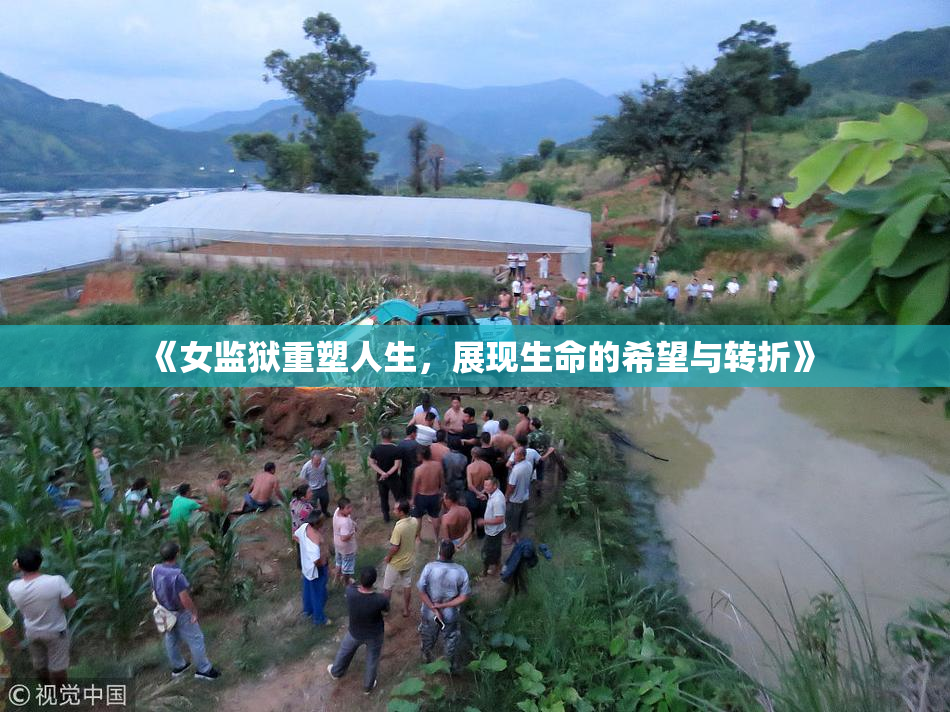 《女监狱重塑人生，展现生命的希望与转折》