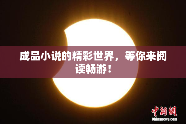 成品小说的精彩世界，等你来阅读畅游！