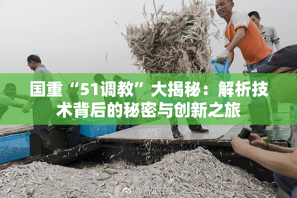 国重“51调教”大揭秘：解析技术背后的秘密与创新之旅