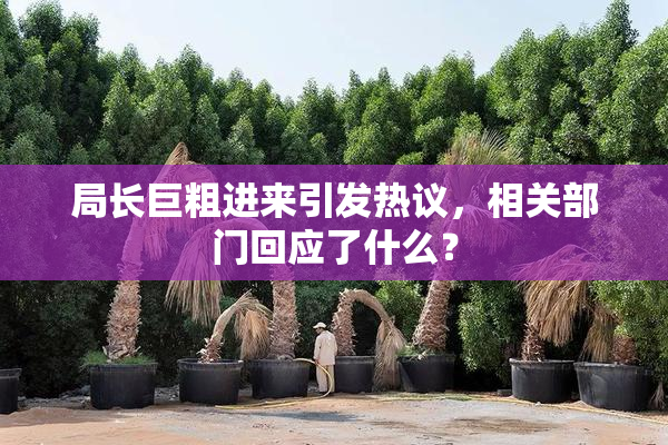 局长巨粗进来引发热议，相关部门回应了什么？