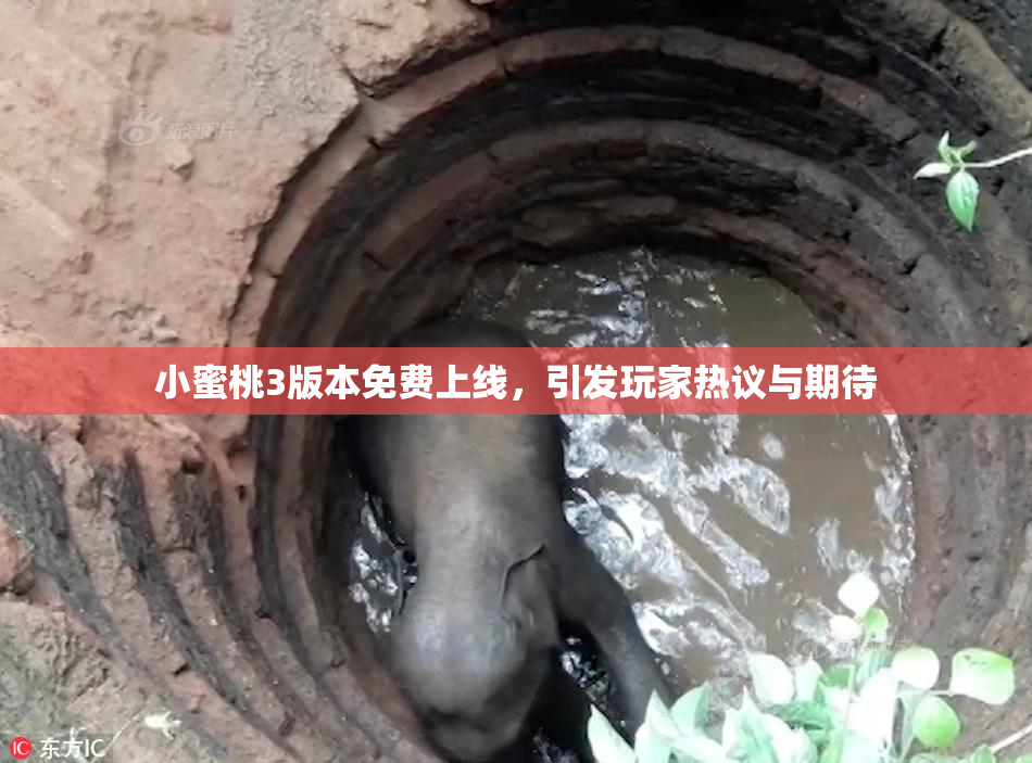 小蜜桃3版本免费上线，引发玩家热议与期待