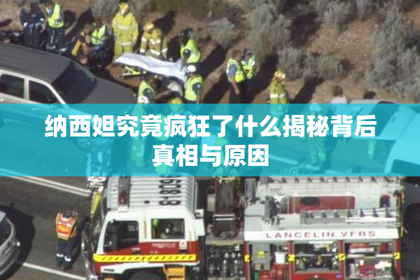 纳西妲究竟疯狂了什么揭秘背后真相与原因