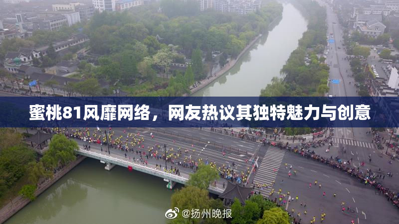 蜜桃81风靡网络，网友热议其独特魅力与创意