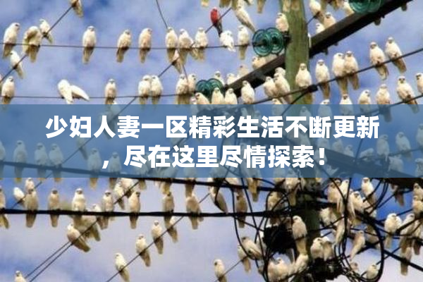 少妇人妻一区精彩生活不断更新，尽在这里尽情探索！