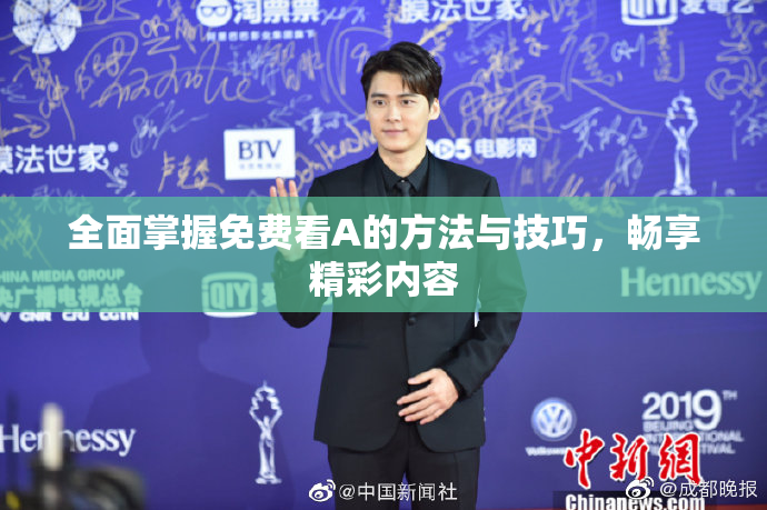 全面掌握免费看A的方法与技巧，畅享精彩内容