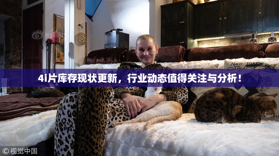 4i片库存现状更新，行业动态值得关注与分析！