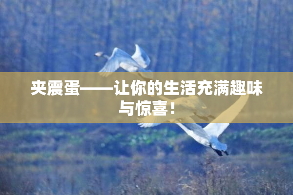夹震蛋——让你的生活充满趣味与惊喜！