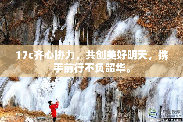 17c齐心协力，共创美好明天，携手前行不负韶华。