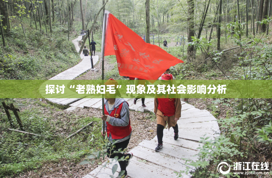 探讨“老熟妇毛”现象及其社会影响分析