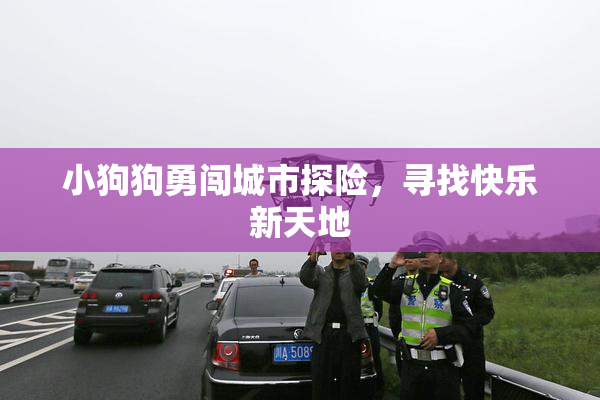 小狗狗勇闯城市探险，寻找快乐新天地