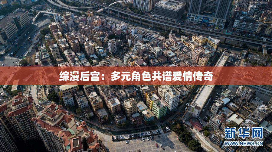 综漫后宫：多元角色共谱爱情传奇