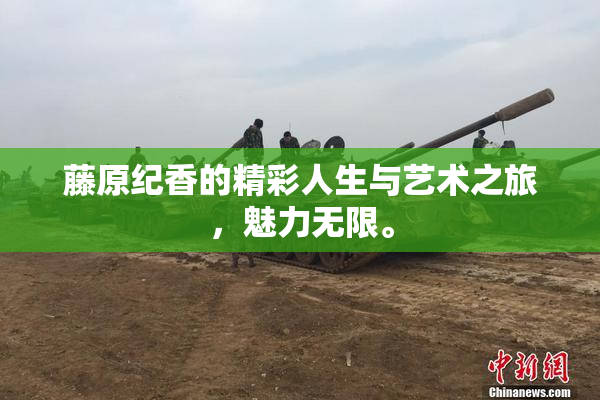 藤原纪香的精彩人生与艺术之旅，魅力无限。