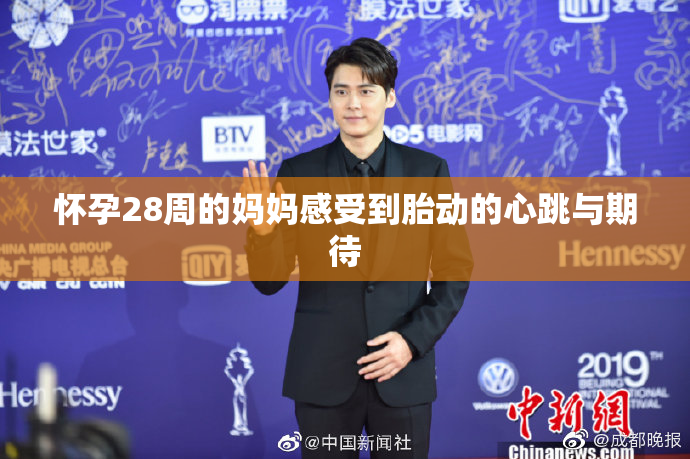 怀孕28周的妈妈感受到胎动的心跳与期待