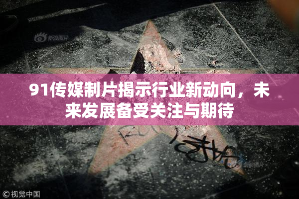 91传媒制片揭示行业新动向，未来发展备受关注与期待