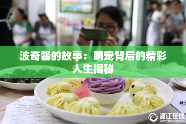 波奇酱的故事：萌宠背后的精彩人生揭秘