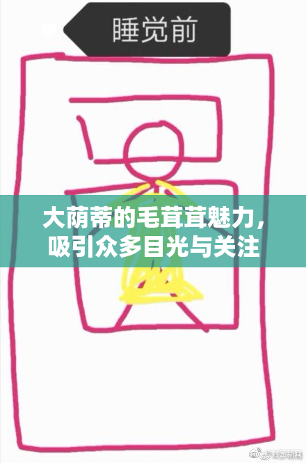 大荫蒂的毛茸茸魅力，吸引众多目光与关注